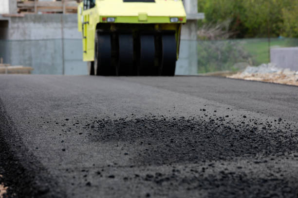 Best Residential Paver Driveway  in Raymondville, TX