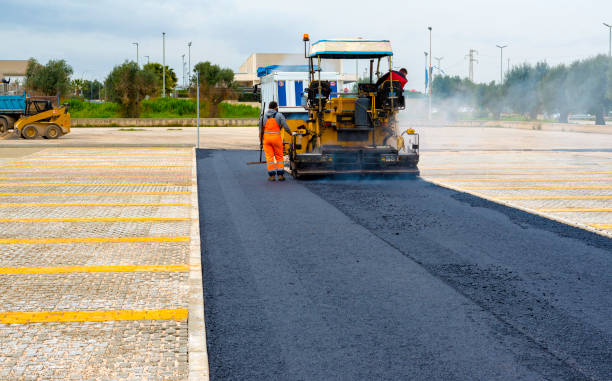 Best Driveway Paving Contractor  in Raymondville, TX