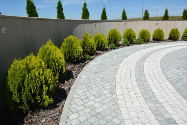  Raymondville, TX Driveway Pavers Pros