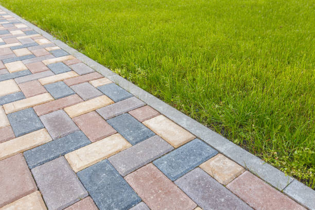 Best Driveway Repair Near Me  in Raymondville, TX